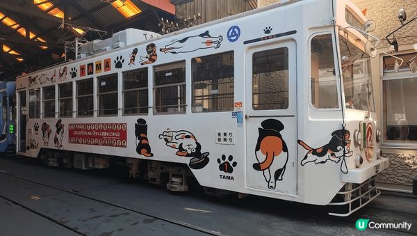 攝於日本I岡山市的相片，悠閒的慢活，細味城市的舒適節奏