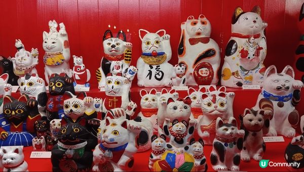 攝於日本I岡山市的相片，悠閒的慢活，細味城市的舒適節奏