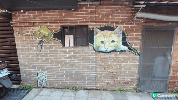 台北三峽民權老街3D立體彩繪巷，猫迷必到。除左有壁畫打卡，周...