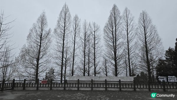 遊走張家界，經過72奇樓；又越過高山又越過谷@國家森林公園，...