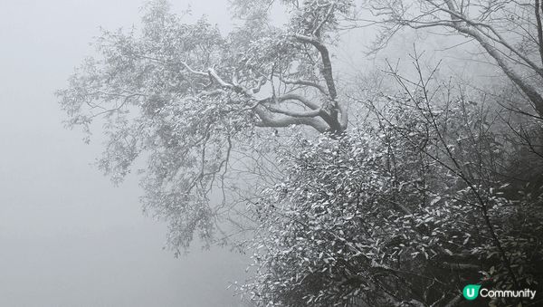 遊走張家界，經過72奇樓；又越過高山又越過谷@國家森林公園，...