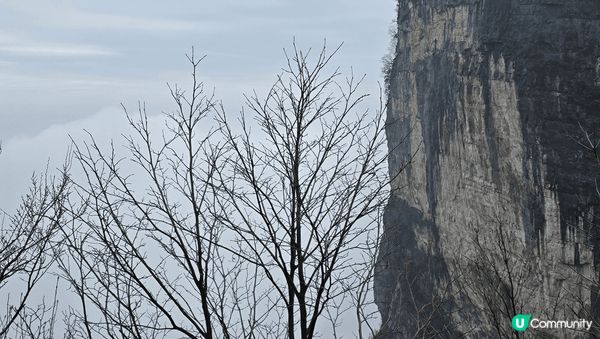 遊走張家界，經過72奇樓；又越過高山又越過谷@國家森林公園，...