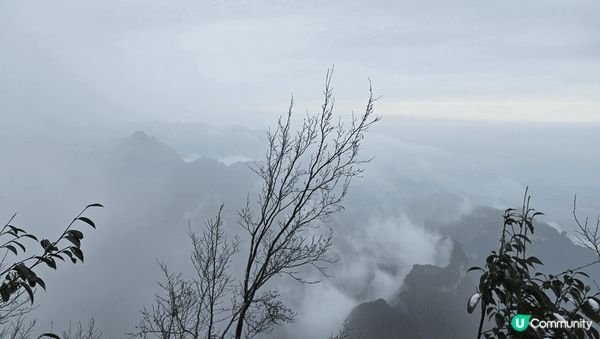 遊走張家界，經過72奇樓；又越過高山又越過谷@國家森林公園，...