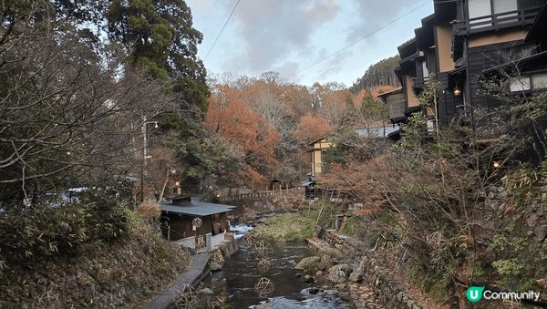 北海道美景 金黃嘅銀杏影照 配普日本浪漫小街 