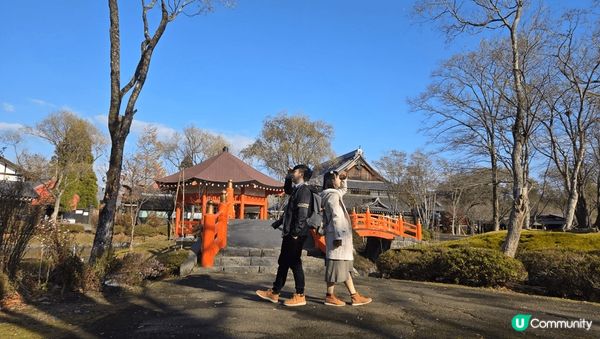 北海道美景 金黃嘅銀杏影照 配普日本浪漫小街 