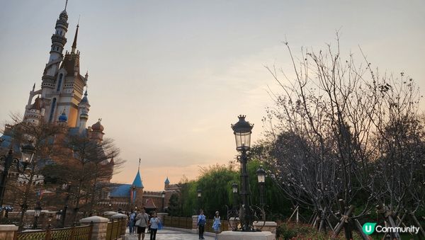 沉醉櫻花海，迪士尼城堡櫻花樹，都好靚呀！