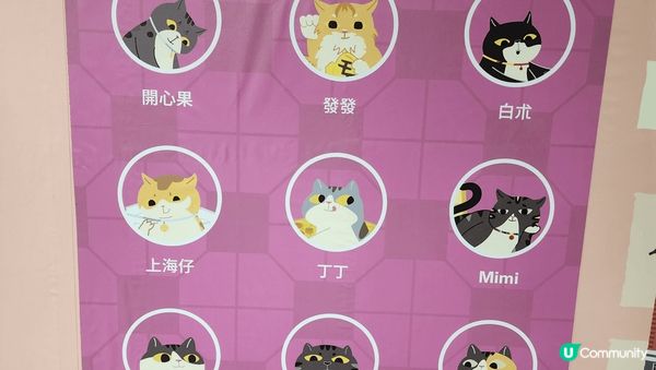 中環地鐵站貓展，有可愛貓貓，都有香港情懷，值得去欣賞。