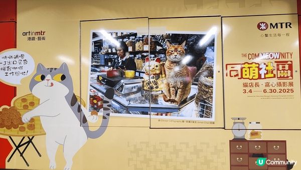 中環地鐵站貓展，有可愛貓貓，都有香港情懷，值得去欣賞。