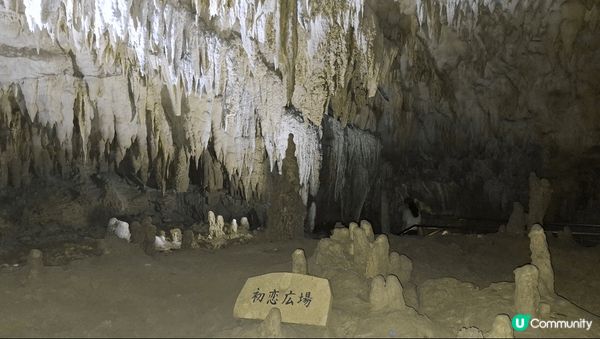 鐘乳石為岩溶生成物，是指碳酸鹽岩地區洞穴內，在漫長地質歷史中...