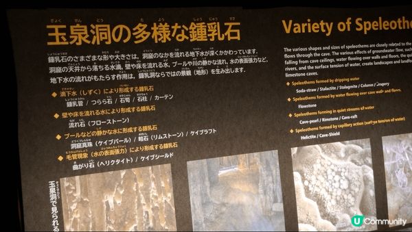 鐘乳石為岩溶生成物，是指碳酸鹽岩地區洞穴內，在漫長地質歷史中...