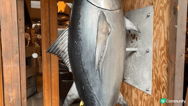 日本立山黑部，中國雲南之旅，主要名勝打卡風景區。
