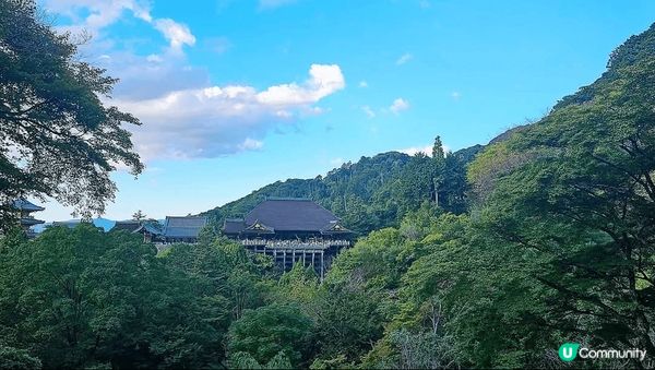 京都秋華賞有好多靚景，打卡一流，食住玩一應俱全，真係好開心，...