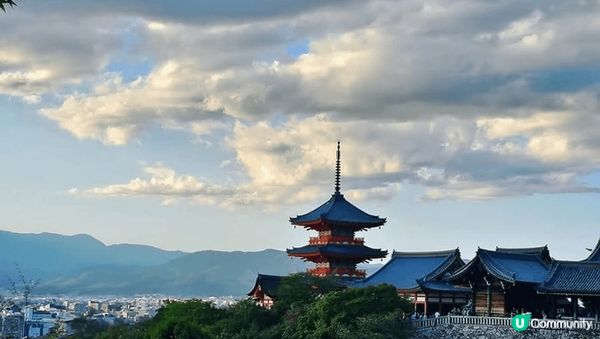 京都秋華賞有好多靚景，打卡一流，食住玩一應俱全，真係好開心，...
