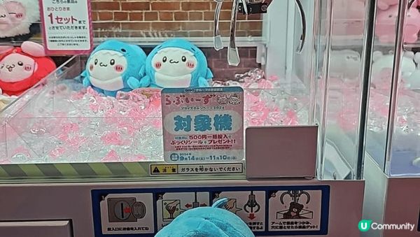 京都秋華賞有好多靚景，打卡一流，食住玩一應俱全，真係好開心，...