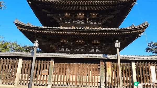 京都秋華賞有好多靚景，打卡一流，食住玩一應俱全，真係好開心，...