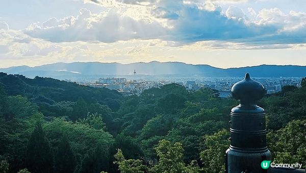 京都秋華賞有好多靚景，打卡一流，食住玩一應俱全，真係好開心，...