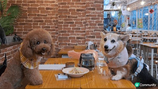 新開餐廳，校園風格，食物cp值極高，有午餐及下午茶，價格非常...