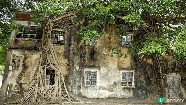 吉澳！一個好純樸嘅地方！村民好少！好多地方都值得一睇！入到去...