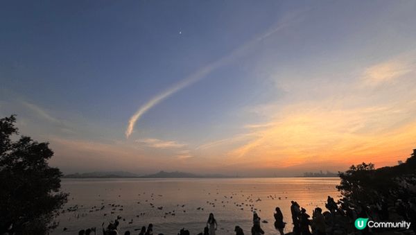 與西伯利亞海鷗有個約會