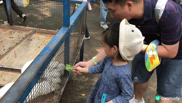 小萌友🥰超萌小兔🐇初體驗🐰🥕