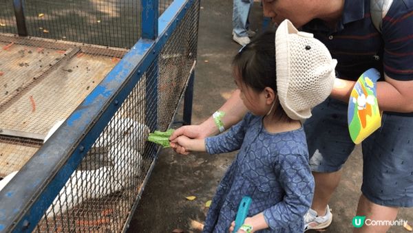 小萌友🥰超萌小兔🐇初體驗🐰🥕