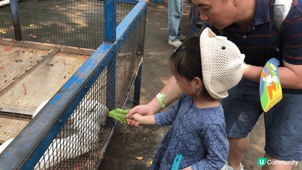 小萌友🥰超萌小兔🐇初體驗🐰🥕