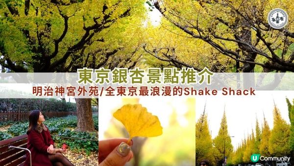 【思思賢嘆世界】東京銀杏景點推介📷明治神宮外苑