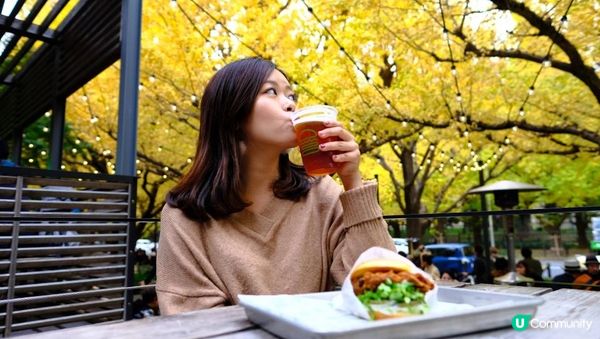 【思思賢嘆世界】東京銀杏景點推介📷明治神宮外苑