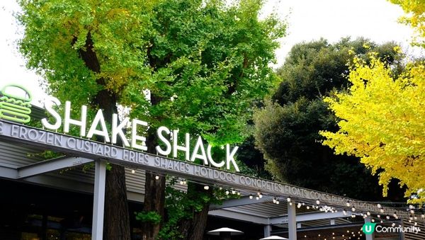 【思思賢嘆世界】東京銀杏景點推介📷明治神宮外苑