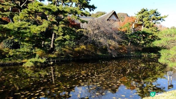 【思思賢嘆世界】橫濱必去紅葉景點🍁✨三溪園絕美風光，一秒穿越京都⛩️