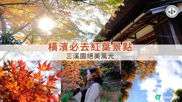 【思思賢嘆世界】橫濱必去紅葉景點🍁✨三溪園絕美風光，一秒穿越京都⛩️