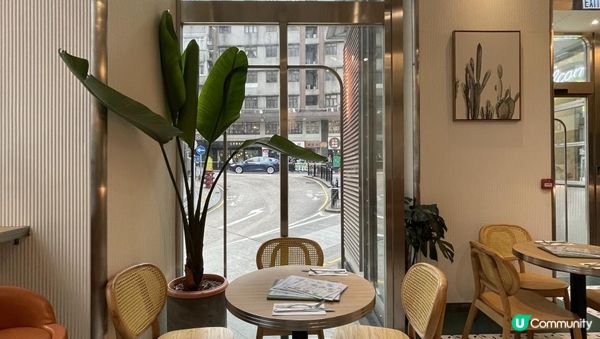 【#思思賢美食推介】中環Brunch好去處！Green Waffle Diner