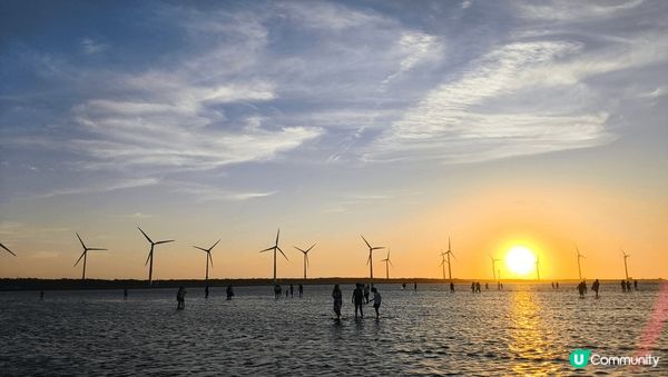 台中高美濕地日落十分溫暖美麗，風力發電機更是增添秋意