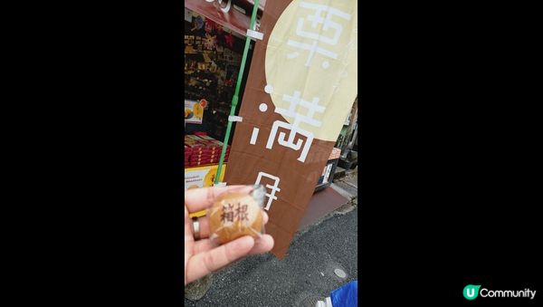 日本茨城縣水戶市常陸國立公園是有名的掃帚草打卡點之一。去箱根...