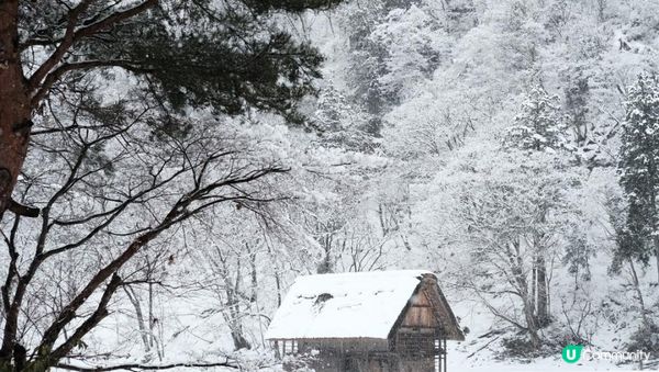 【思思賢嘆世界】❄️✨超浪漫冬季之旅！白川鄉&高山三日兩夜行程推介❄️✨