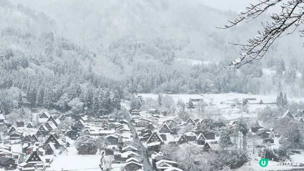 【思思賢嘆世界】❄️✨超浪漫冬季之旅！白川鄉&高山三日兩夜行程推介❄️✨