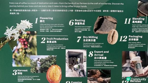 【拍拖好去處 】咖啡香氣之旅!星巴克｢星星相識 25 年｣主題展