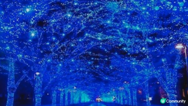 【#思思賢嘆世界 】🎄2025-2026 東京聖誕燈飾必去TOP 10🎄