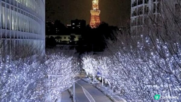 【#思思賢嘆世界 】🎄2025-2026 東京聖誕燈飾必去TOP 10🎄