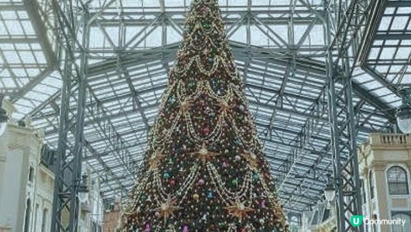 【#思思賢嘆世界 】🎄2025-2026 東京聖誕燈飾必去TOP 10🎄