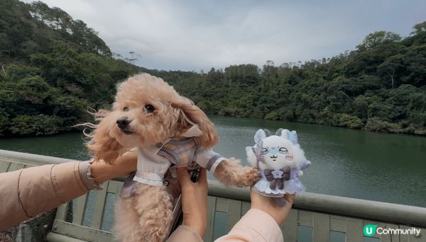 最近入坑了這系列Chiikawa，無論生日、旅行還是賞花都要...