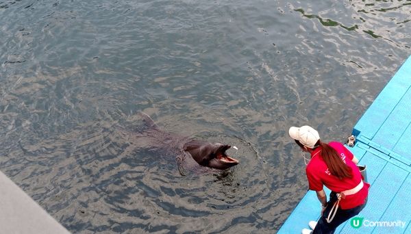 鹿兒島之旅，郊外自然靚境，夜景，水族館等等。一個適合放鬆的旅...