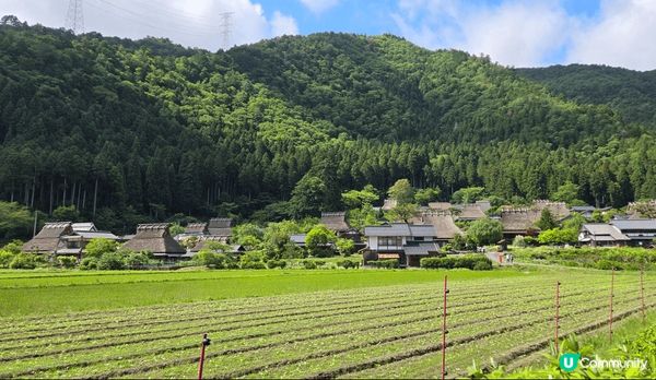 京都美山町一定要去嘅日本自然景點，一幢幢可愛嘅茅草小屋，一大...