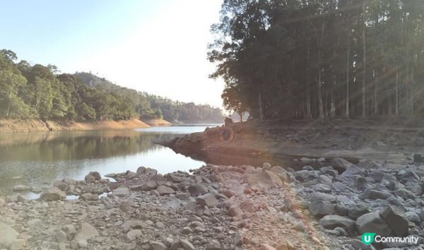 天氣好好，今日就去咗行山，目的地「針山」沿途風景美麗，有山有...
