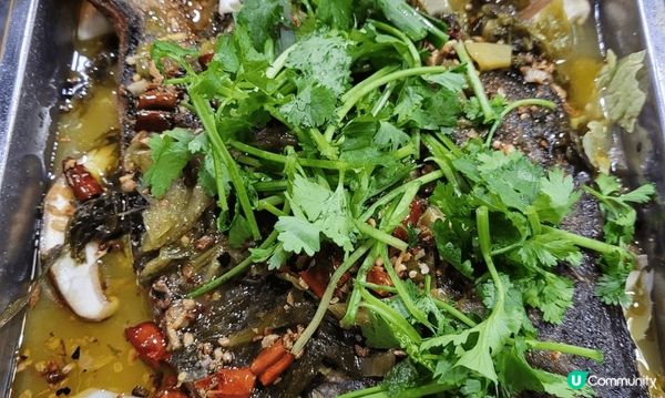 黃大仙新大眾食放題，烤魚，雞煲，串燒，前菜任食，預早訂下午二...