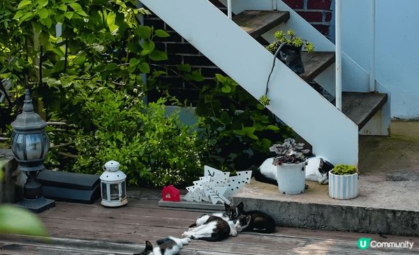 韓國世界文化遺產-水原華城 欣賞宏偉建築 今次來到韓國，我們...