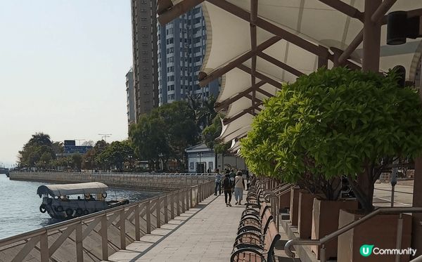 黃竹坑香葉道有一條污水明渠，從前會散發臭味，隨著港鐵南港島線...