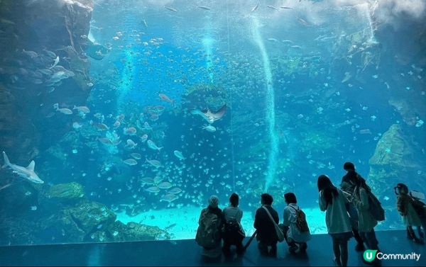 台灣桃園XPark，一個充滿歡樂的大型水族館，還有其他富有教...