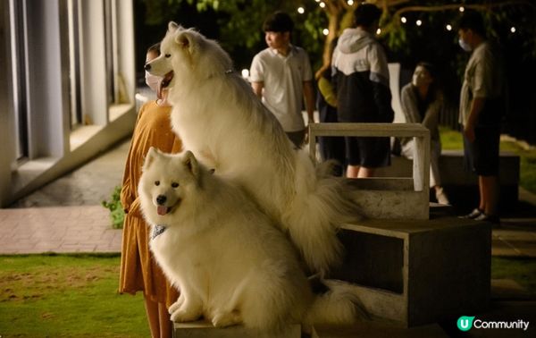 鹿雅森林位於台中沙鹿嘅夜景咖啡店，座落響山層嘅玻璃屋，夜晚點...