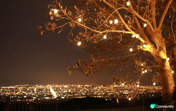 鹿雅森林位於台中沙鹿嘅夜景咖啡店，座落響山層嘅玻璃屋，夜晚點...